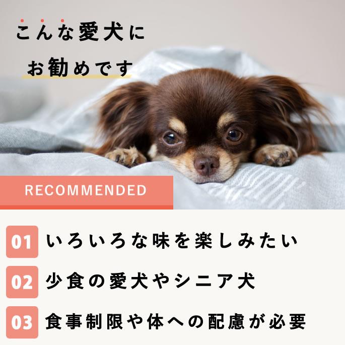 3月限定 おやつギフトパックがお得！ちょっとずつ楽しめるスイーツセット【ハウンドカム食堂】【冷凍便】 | 帝塚山ハウンドカム | 16