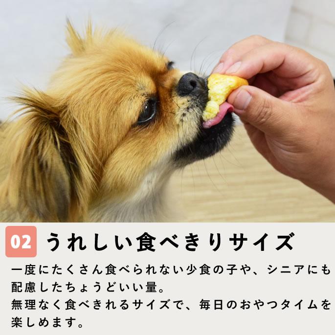 3月限定 おやつギフトパックがお得！ちょっとずつ楽しめるスイーツセット【ハウンドカム食堂】【冷凍便】 | 帝塚山ハウンドカム | 03