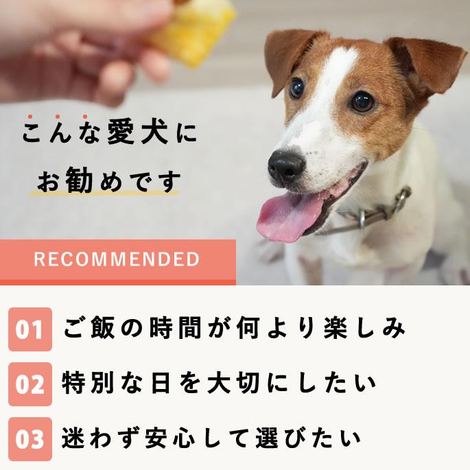 ごちそうごはんセレクション【ハウンドカム食堂】【冷凍便】 | 帝塚山ハウンドカム | 19