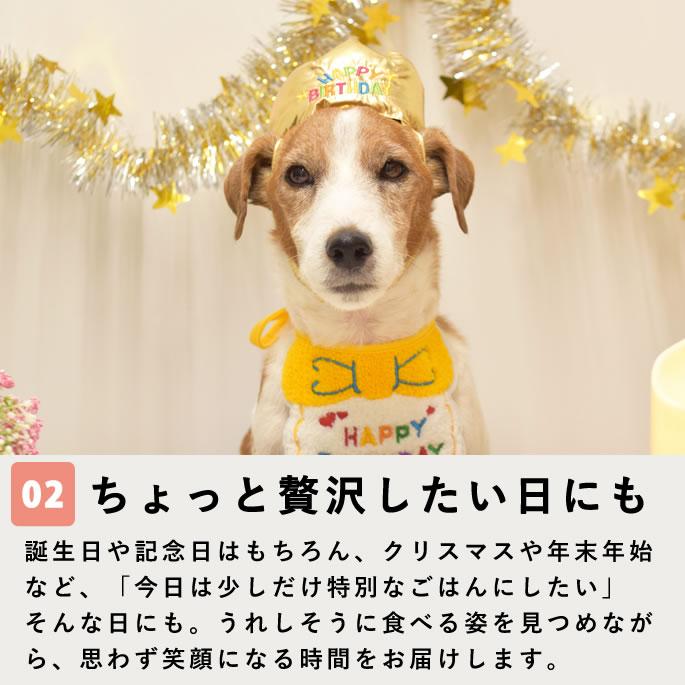 ごちそうごはんセレクション【ハウンドカム食堂】【冷凍便】 | 帝塚山ハウンドカム | 03