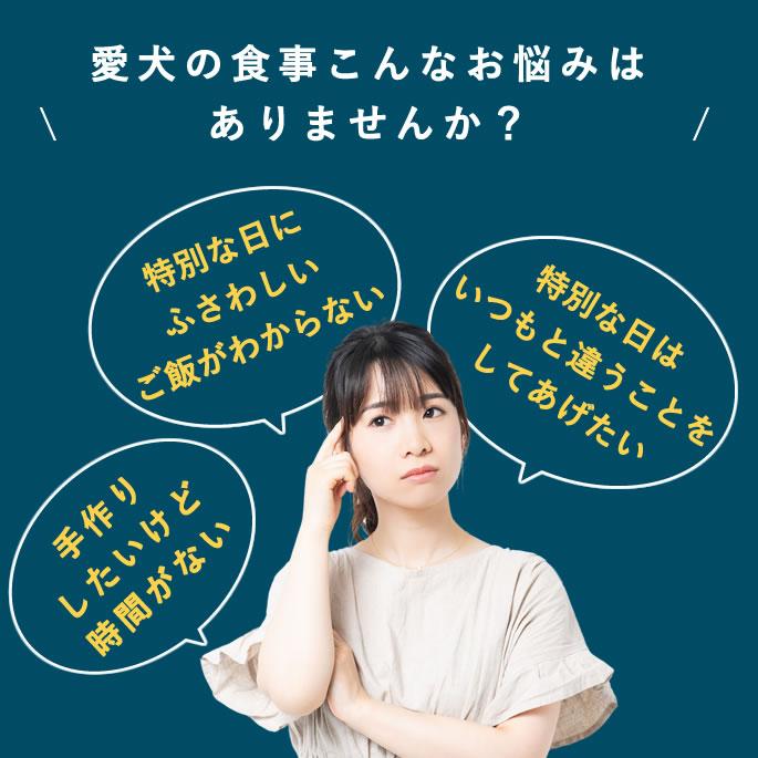 ごちそうごはんセレクション【ハウンドカム食堂】【冷凍便】 | 帝塚山ハウンドカム | 06