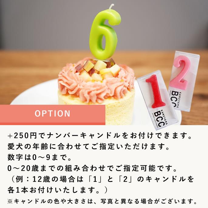 ハッピーカップケーキ 2種3個セット【※お名前入れ不可】【ハウンドカム食堂】【冷凍便】 | 帝塚山ハウンドカム | 13