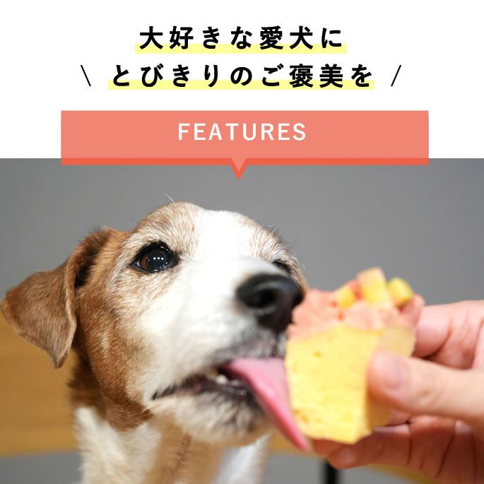 ハッピーカップケーキ 2種3個セット【※お名前入れ不可】【ハウンドカム食堂】【冷凍便】 | 帝塚山ハウンドカム | 01