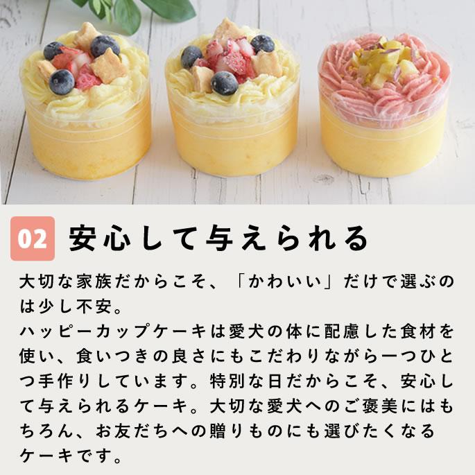 ハッピーカップケーキ 2種3個セット【※お名前入れ不可】【ハウンドカム食堂】【冷凍便】 | 帝塚山ハウンドカム | 03