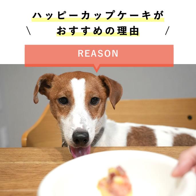 ハッピーカップケーキ 2種3個セット【※お名前入れ不可】【ハウンドカム食堂】【冷凍便】 | 帝塚山ハウンドカム | 05