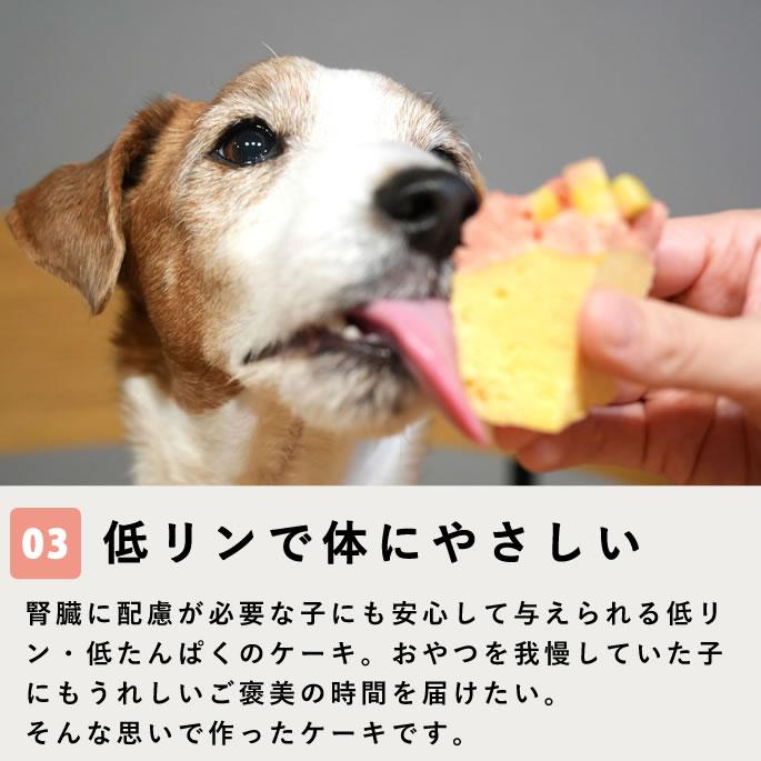 ハッピーカップケーキ 2種3個セット【※お名前入れ不可】【ハウンドカム食堂】【冷凍便】 | 帝塚山ハウンドカム | 08