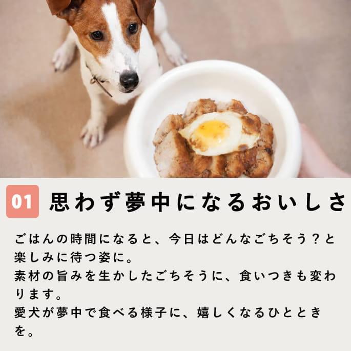 【数量限定】旅するハウンドカム食堂 日本列島うまいものツアー 中国・四国7品目セット 【ハウンドカム食堂】【冷凍便】 | 帝塚山ハウンドカム | 02