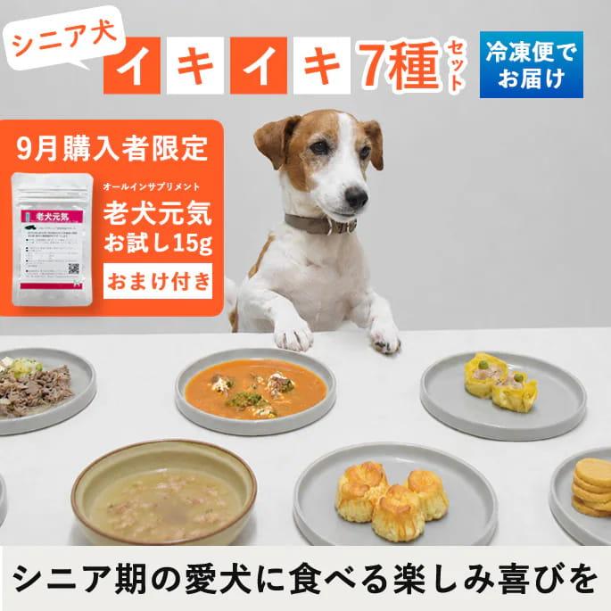 【9月限定 老犬元気15g付き】冷凍便でお届け！シニア犬イキイキ7種セット | 帝塚山ハウンドカム
