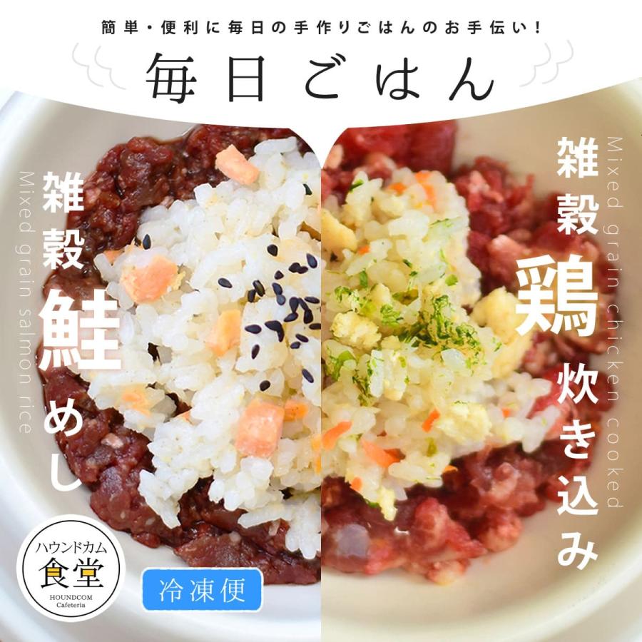犬 トッピング ドッグフード ウェットフード ペットフード 無添加 手作り 毎日ごはん 雑穀鶏炊き込み・雑穀鮭めし 5袋 ハウンドカム食堂 冷凍便 | 帝塚山ハウンドカム | 01