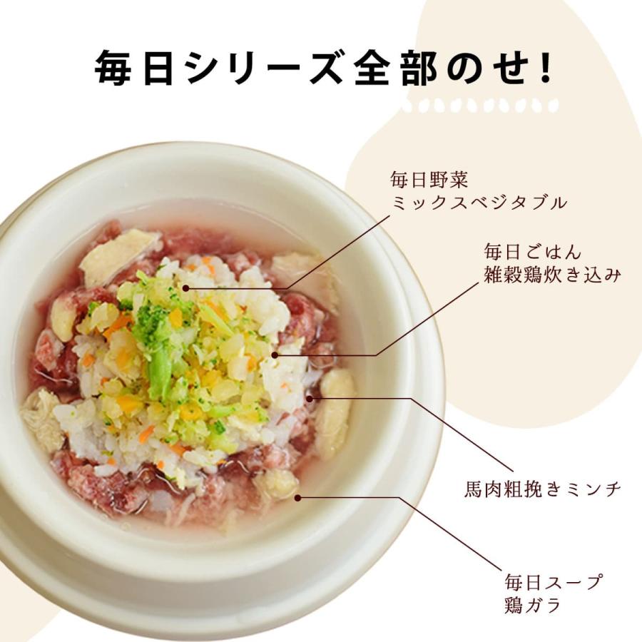 犬 トッピング ドッグフード ウェットフード ペットフード 無添加 手作り 毎日ごはん 雑穀鶏炊き込み・雑穀鮭めし 5袋 ハウンドカム食堂 冷凍便 | 帝塚山ハウンドカム | 08