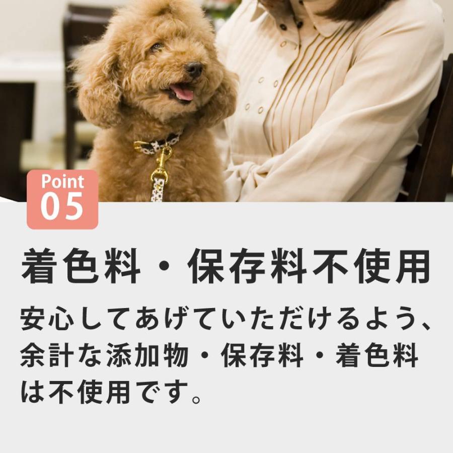 犬 トッピング ドッグフード ウェットフード ペットフード 無添加 低脂肪 手作り 毎日ごはん 雑穀鶏炊き込み・雑穀鮭めし 5袋 ハウンドカム食堂 冷凍便 | 帝塚山ハウンドカム | 09