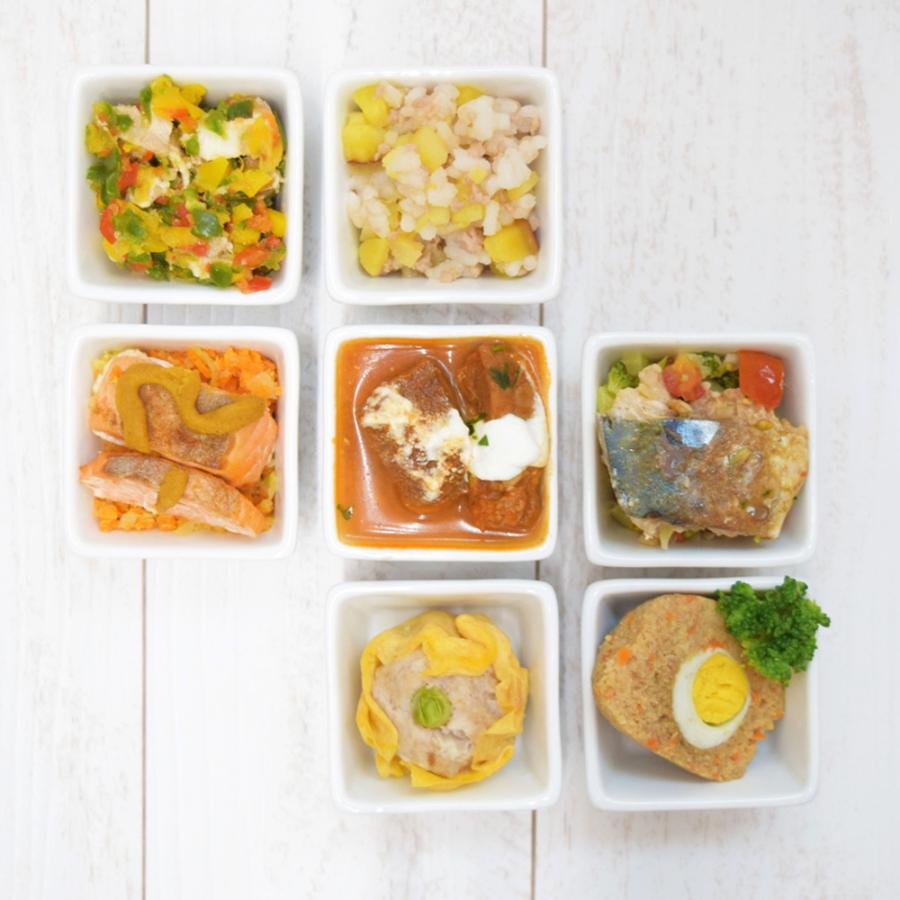 愛犬用 手作りごはん 低リン 犬 腎臓 フード ドッグフード 腎臓 ご飯 小型犬 中型犬 大型犬 腎臓に優しい低リン単品6食Cセット ハウンドカム食堂 | 帝塚山ハウンドカム | 01