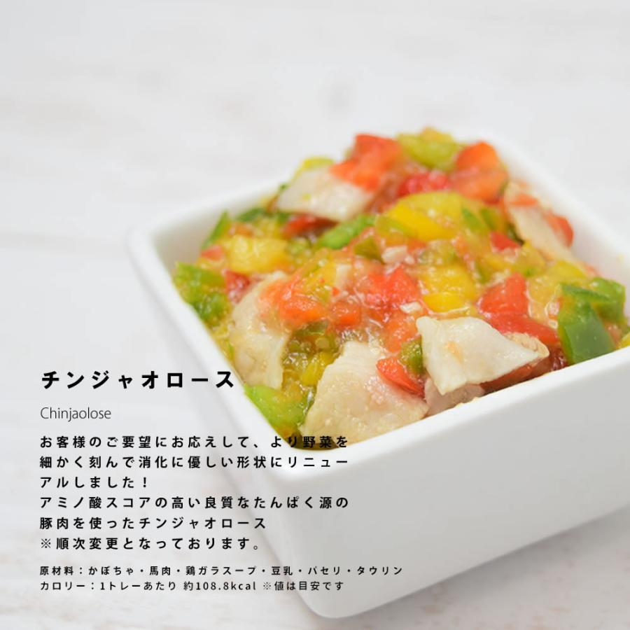 愛犬用 手作りごはん 低リン 犬 腎臓 フード ドッグフード 腎臓 ご飯 小型犬 中型犬 大型犬 腎臓に優しい低リン単品6食Cセット ハウンドカム食堂 | 帝塚山ハウンドカム | 03