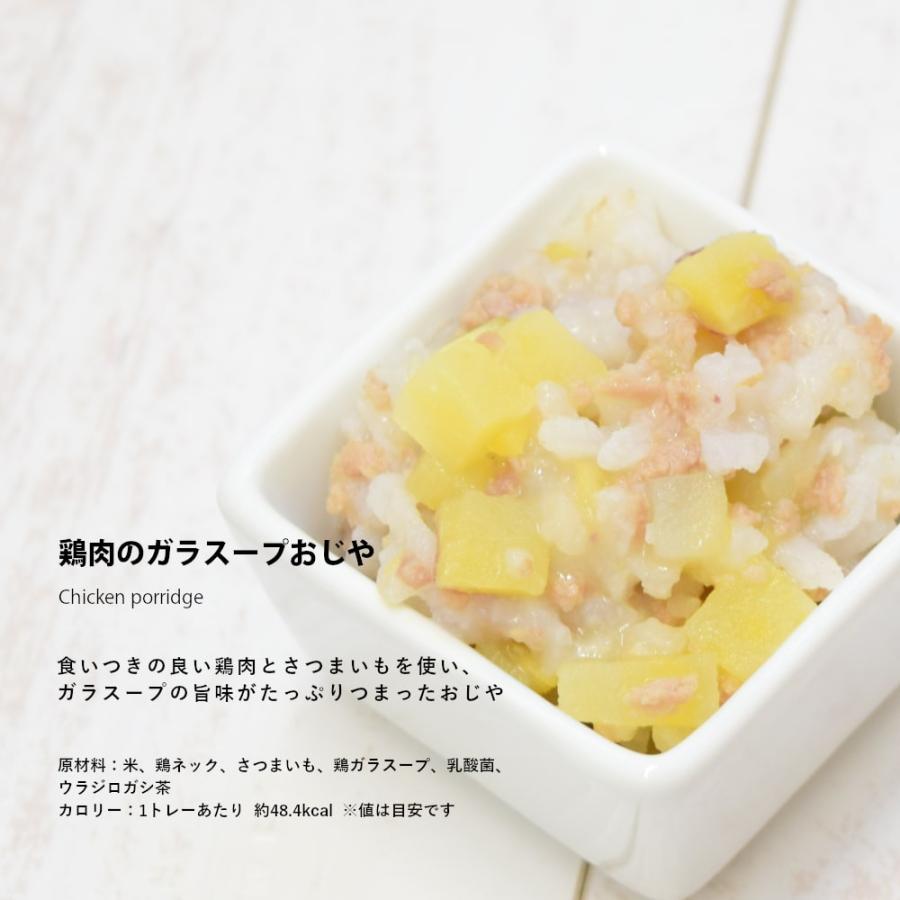 愛犬用 手作りごはん 低リン 犬 腎臓 フード ドッグフード 腎臓 ご飯 小型犬 中型犬 大型犬 腎臓に優しい低リン単品6食Cセット ハウンドカム食堂 | 帝塚山ハウンドカム | 04