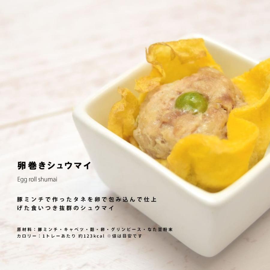 愛犬用 手作りごはん 低リン 犬 腎臓 フード ドッグフード 腎臓 ご飯 小型犬 中型犬 大型犬 腎臓に優しい低リン単品6食Cセット ハウンドカム食堂 | 帝塚山ハウンドカム | 05