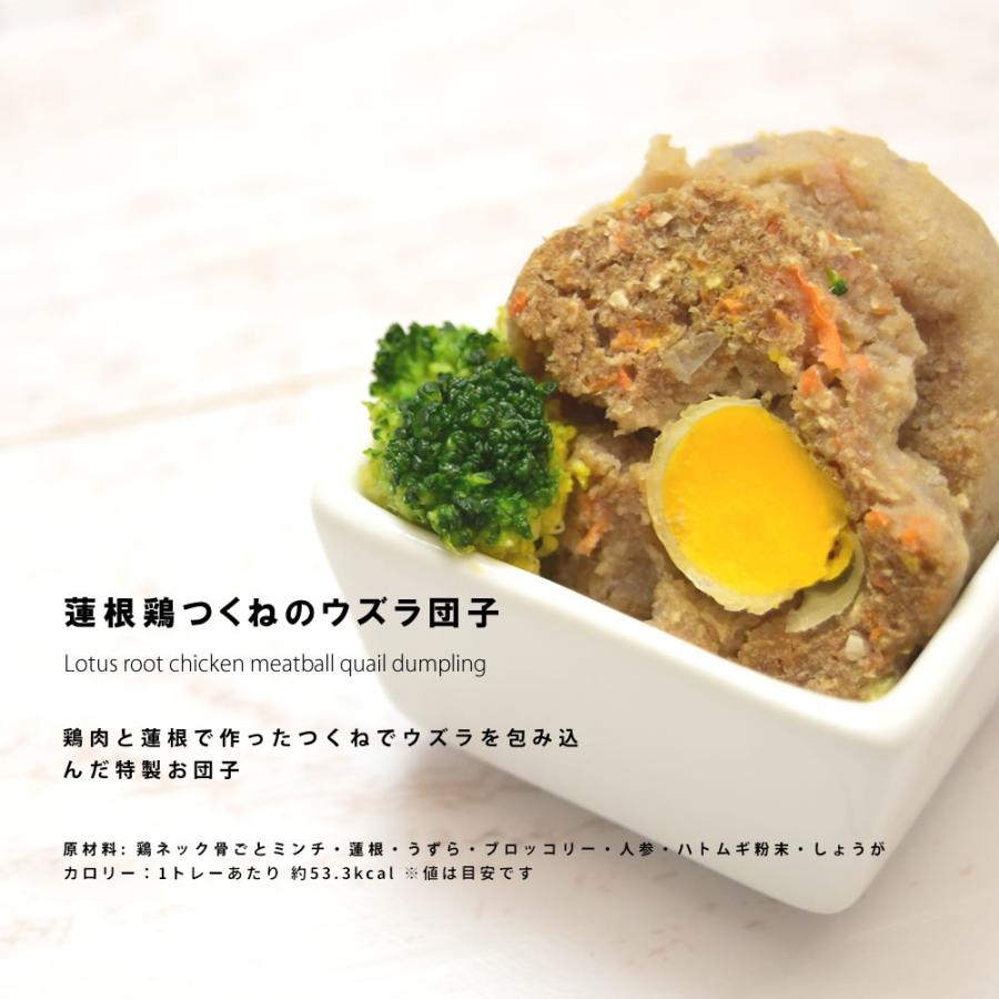 愛犬用 手作りごはん 低リン 犬 腎臓 フード ドッグフード 腎臓 ご飯 小型犬 中型犬 大型犬 腎臓に優しい低リン単品6食Cセット ハウンドカム食堂 | 帝塚山ハウンドカム | 06