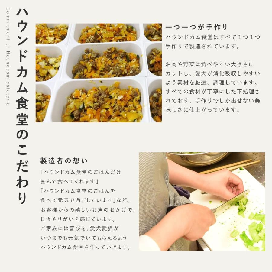 帝塚山ハウンドカム 愛犬用 手作りごはん 消化にやさしい ドッグフード