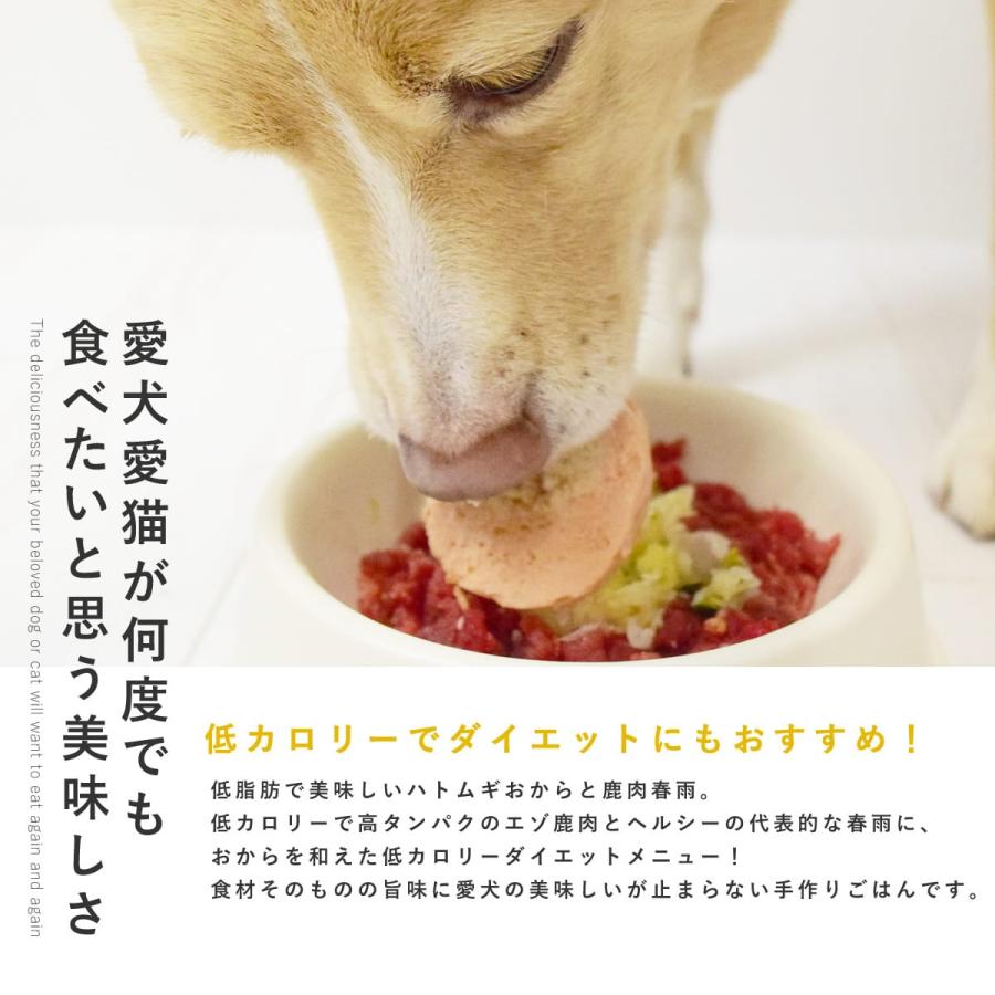 愛犬用 手作りごはん ハトムギおからと鹿肉春雨 24個セット  【ハウンドカム食堂】【冷凍便】｜houndcom｜02