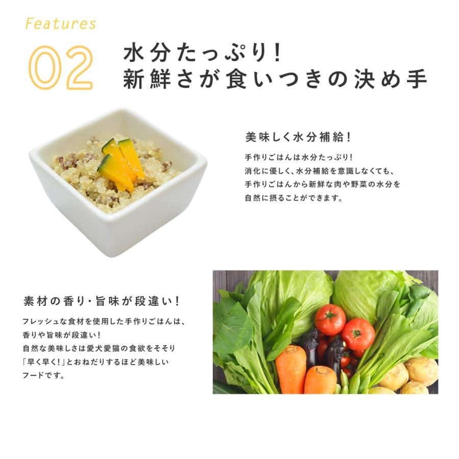 愛犬用 手作りごはん ハトムギおからと鹿肉春雨 24個セット  【ハウンドカム食堂】【冷凍便】｜houndcom｜05