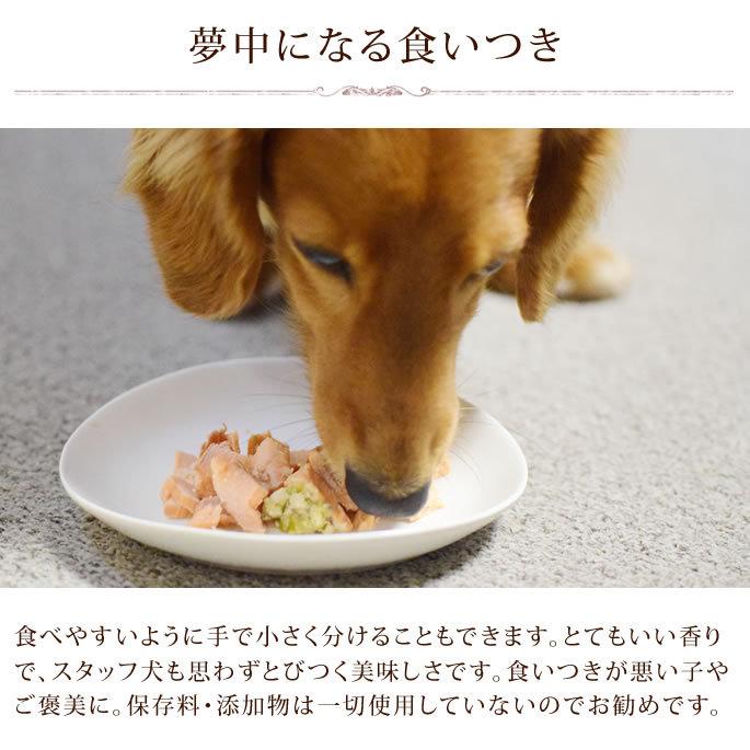 ドッグフード ユーグリーン わんちゃんのヘルシーお惣菜 鮭のグリーンソース 5袋セット ハロードッグ 低脂肪 レトルト トッピング 防災 備蓄 保存食 |  | 02