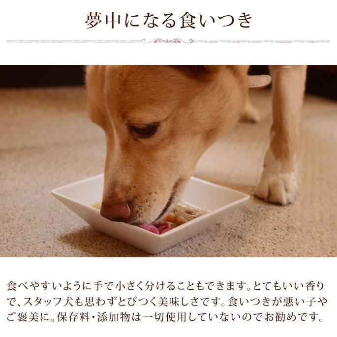 ドッグフード ユーグリーン わんちゃんのヘルシーお惣菜 野菜たっぷり和風スープ 1袋 ハロードッグ レトルト トッピング 防災 備蓄 保存食 |  | 02