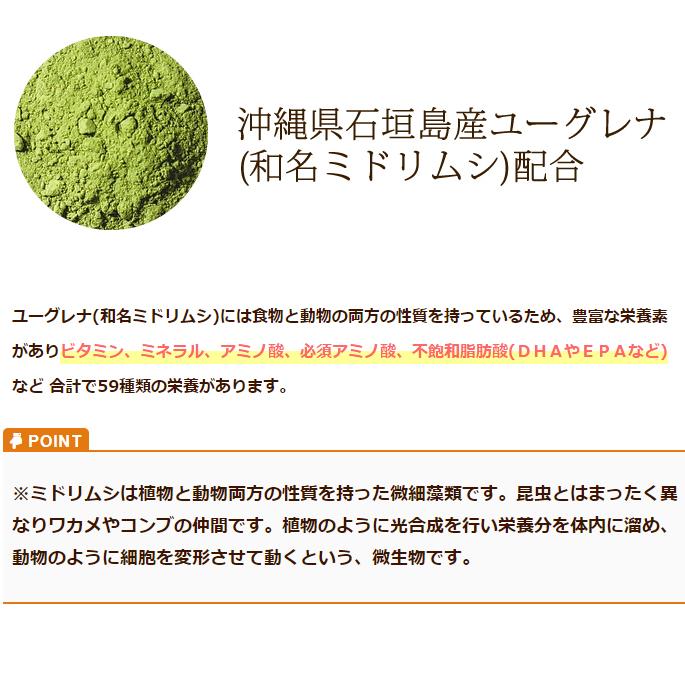 ドッグフード ユーグリーン わんちゃんのヘルシーお惣菜 野菜たっぷり和風スープ 1袋 ハロードッグ レトルト トッピング 防災 備蓄 保存食 |  | 05