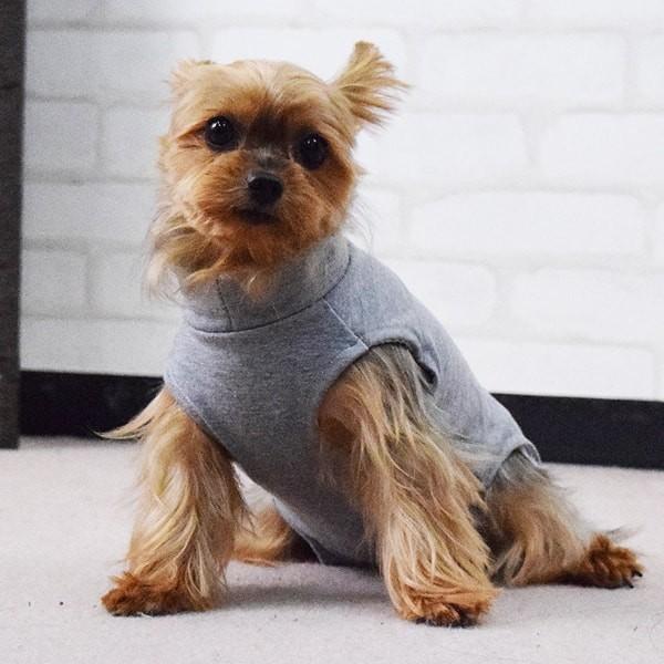 ASHU 犬用 術後カバー服 小型犬用 サイズ24・27 : 安心おやつ歯みがき