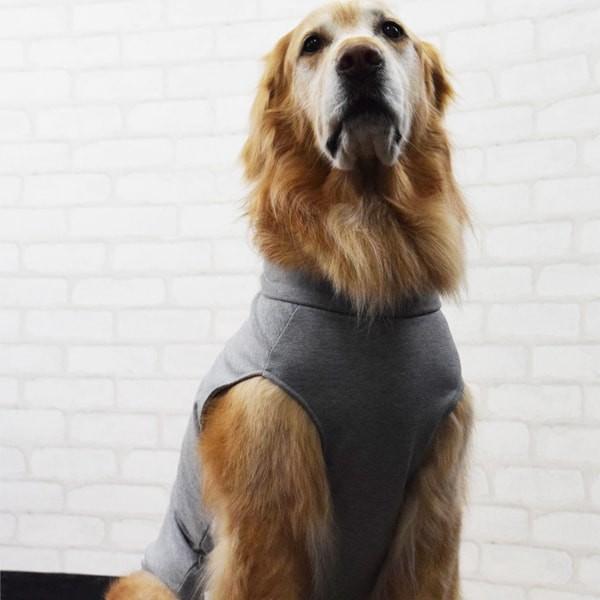 犬用　術後カバー服　大型犬用 サイズ70・75 | ASHU | 01