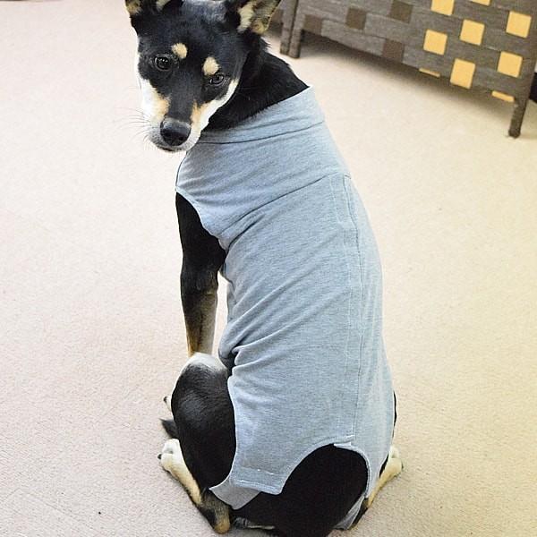犬用　術後カバー服　中型犬用 サイズ40・45・50 | ASHU | 03