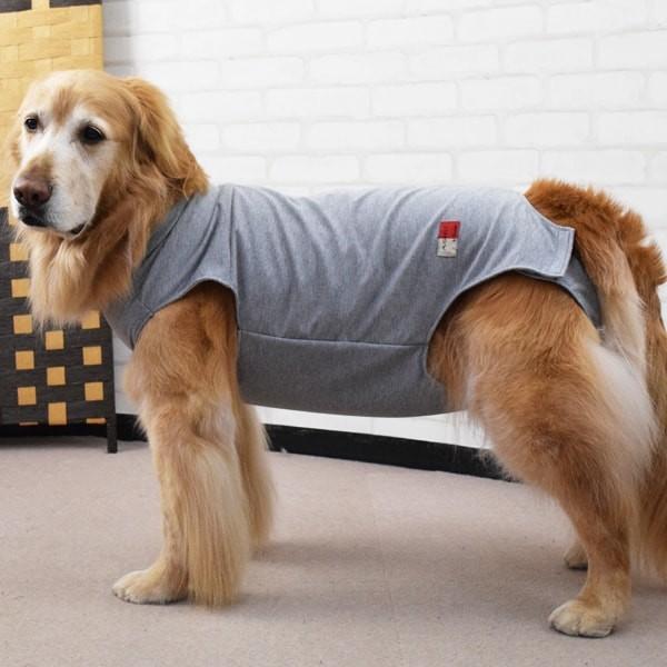 犬用　術後カバー服　中・大型犬用 サイズ55・60・65 | ASHU | 02