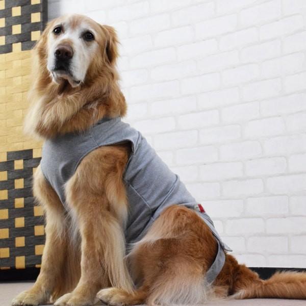 犬用　術後カバー服　中・大型犬用 サイズ55・60・65 | ASHU | 03