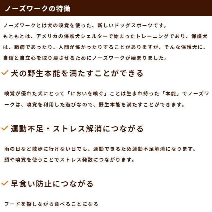 犬用おもちゃ　ノーズワークマット |  | 01