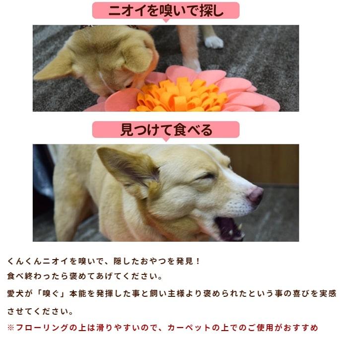犬用おもちゃ　ノーズワークマット |  | 03