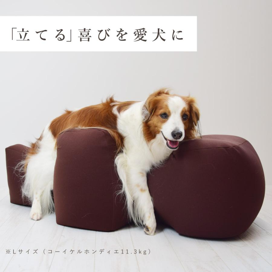 愛犬用ベッド リラクッション 3L チャコールグレー 立位保定・介護
