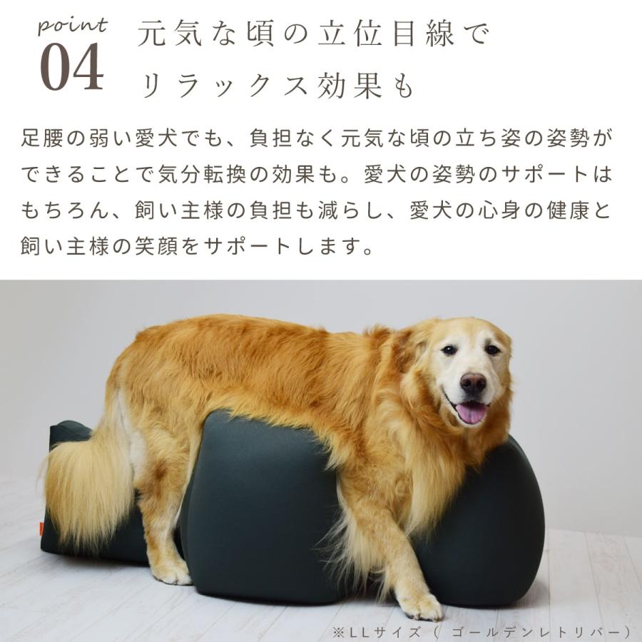 介護 愛犬用ベッド リラクッション トイプードル チャコールグレー 立