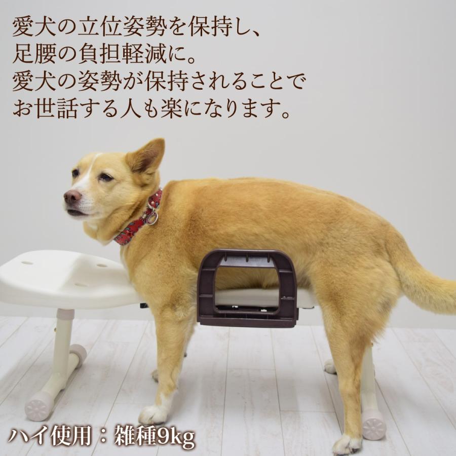 お取り寄せ 愛犬用 りらたっち ホームタイプ 姿勢補助・足腰負担軽減