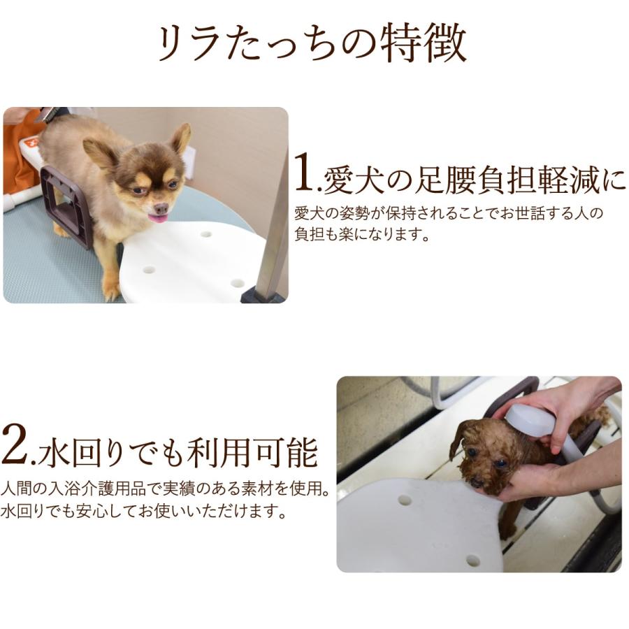 お取り寄せ 愛犬用 りらたっち ホームタイプ 姿勢補助・足腰負担軽減