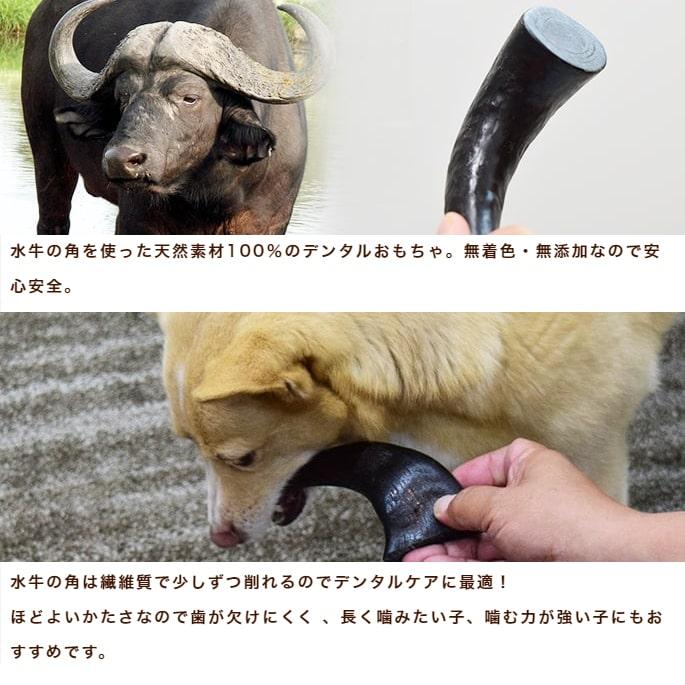 愛犬用 デンタルおもちゃ バッファローホーン ラージ |  | 01