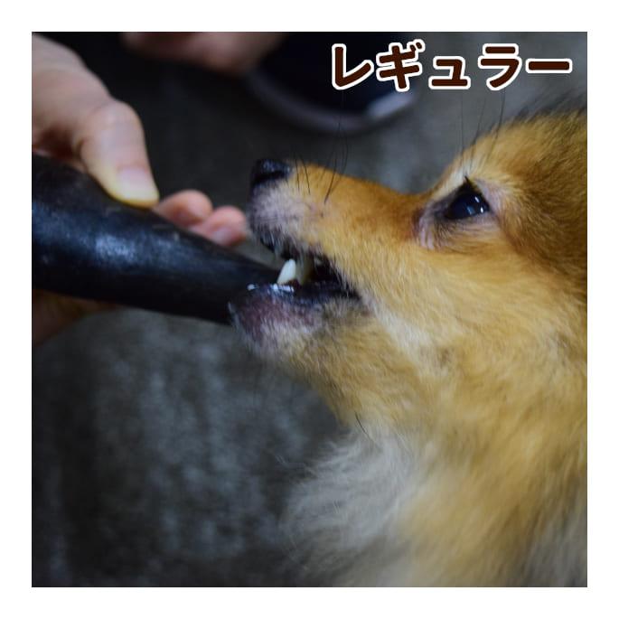 愛犬用 デンタルおもちゃ バッファローホーン レギュラー | 