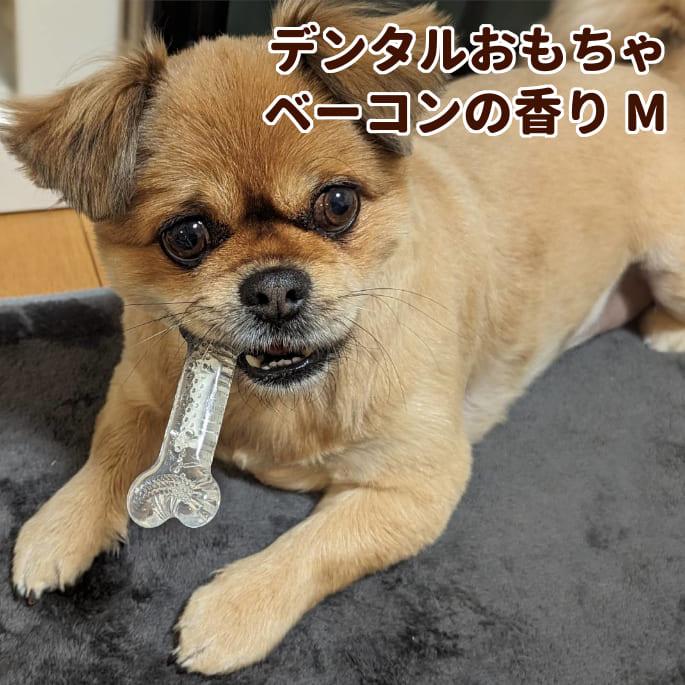 犬用デンタルおもちゃ デンタルソフトボーン  ベーコンの香り  Mサイズ | 