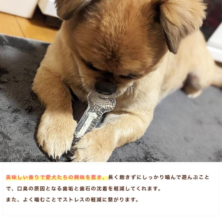 犬用デンタルおもちゃ デンタルソフトボーン  ベーコンの香り  Mサイズ |  | 02