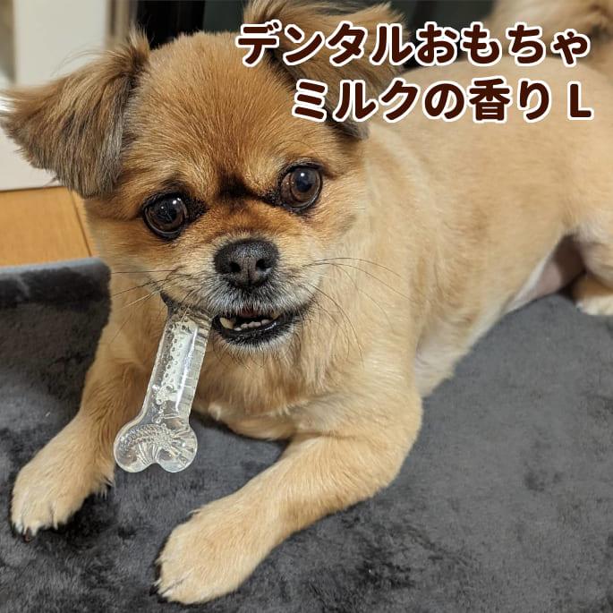 犬用デンタルおもちゃ デンタルソフトボーン  ミルクの香り  Lサイズ | 