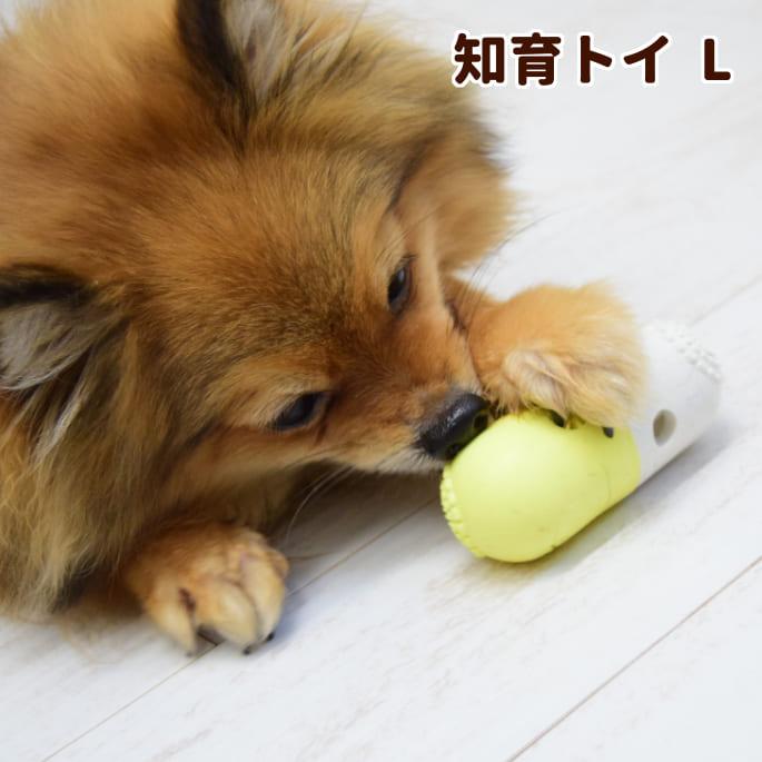 犬用おもちゃ FAD+ トリーツカプセルトイ  Lサイズ | 