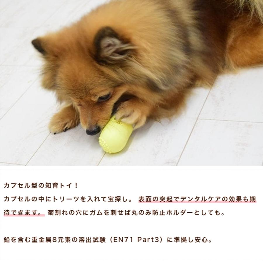 犬用おもちゃ FAD+ トリーツカプセルトイ  Lサイズ |  | 01