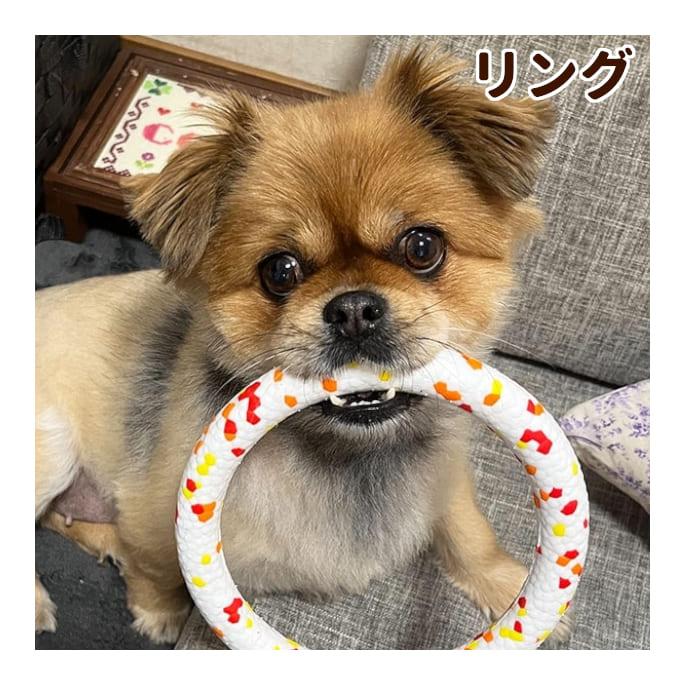 犬用おもちゃ フレックスリングもってこい遊び | 