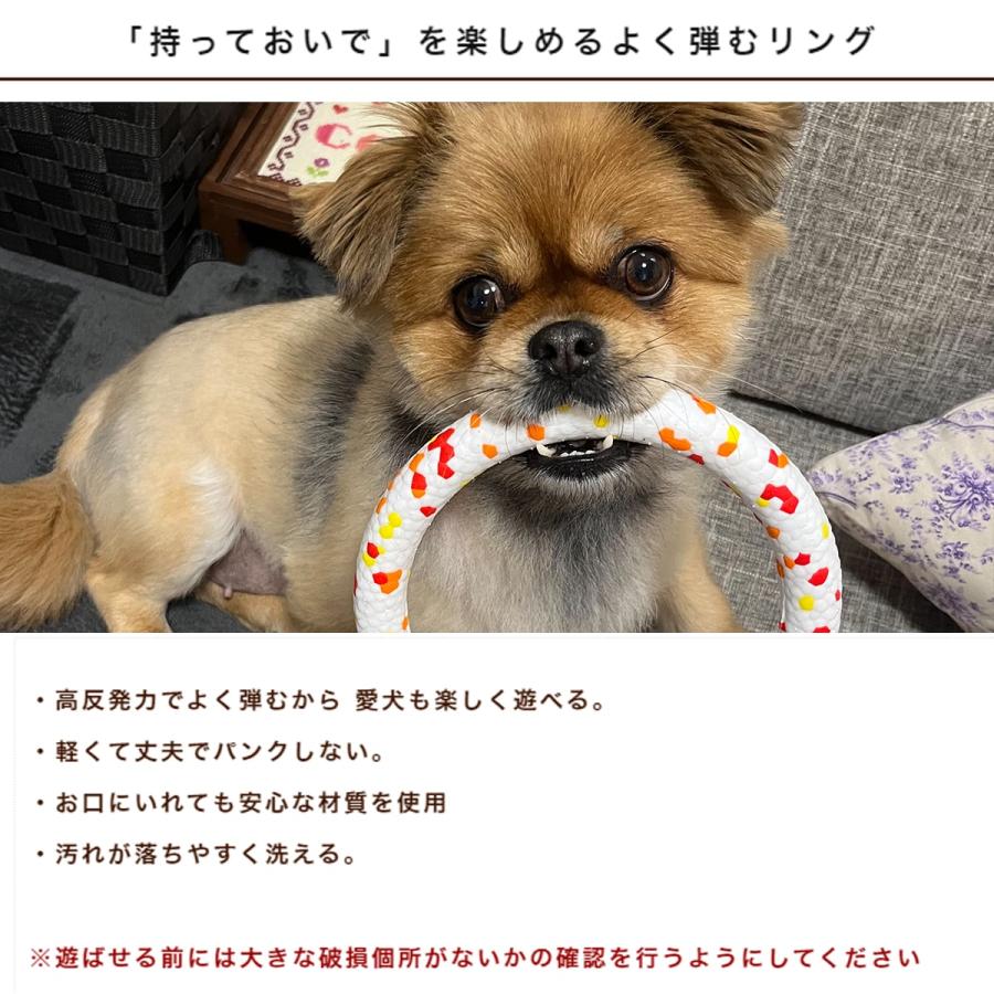 犬用おもちゃ フレックスリングもってこい遊び |  | 01