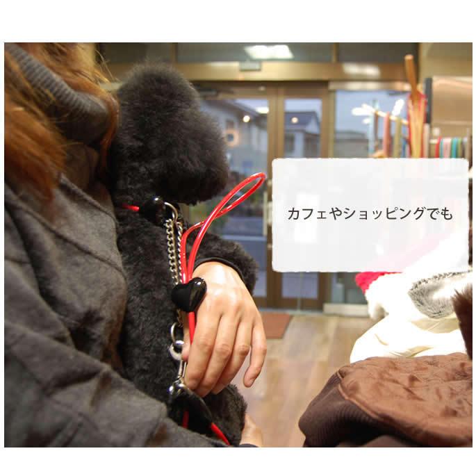 犬  ハーフチョーク しつけ用 ASHU ラブリーレインハーフチョーク 小型犬 ＳＳサイズ | ASHU | 07
