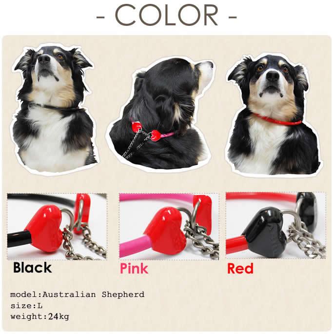 犬  ハーフチョーク しつけ用 ASHU ラブリーレインハーフチョーク 大型犬 LLサイズ | ASHU | 12