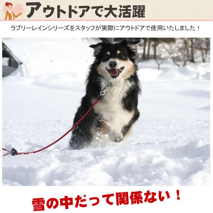 犬 リード ASHU ラブリーレインリード 中〜大型犬 ＭＬサイズ | ASHU | 10