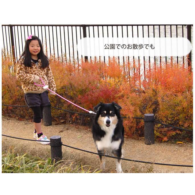 犬 リード ASHU ラブリーレインリード 中〜大型犬 ＭＬサイズ | ASHU | 09